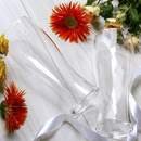 東洋佐佐木 超薄高身玻璃杯(2P) - Hane Zakka